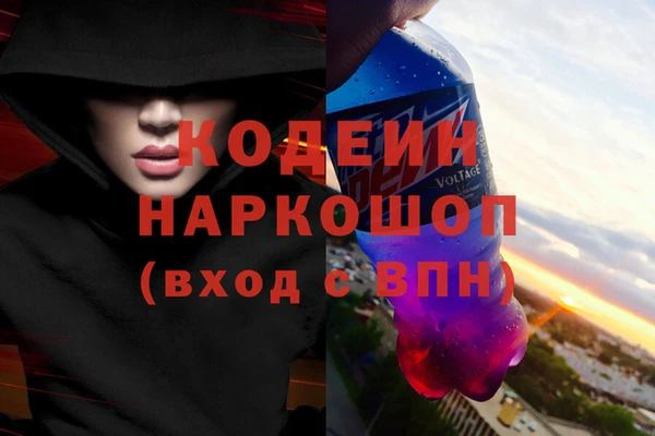 индика Беломорск
