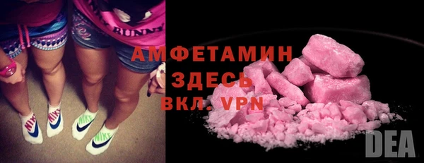 индика Беломорск