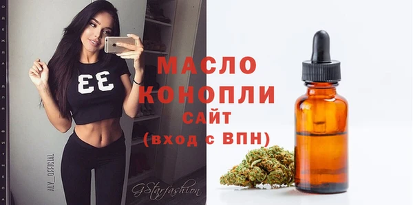 индика Беломорск