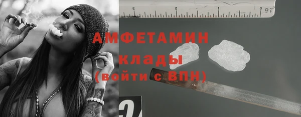 индика Беломорск