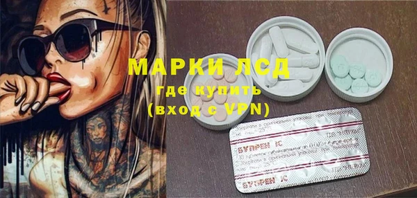 индика Беломорск