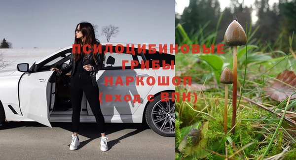 индика Беломорск