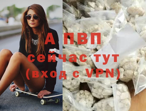 амфетамин Белокуриха