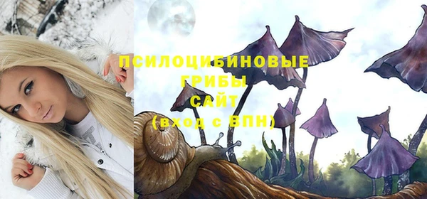 индика Беломорск