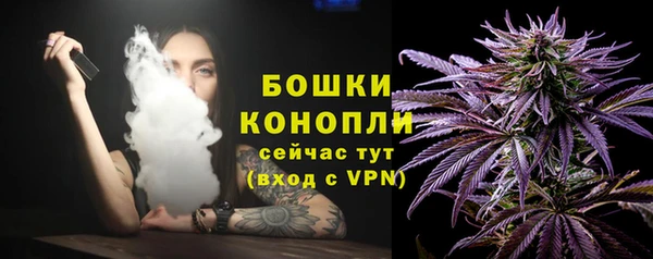 индика Беломорск
