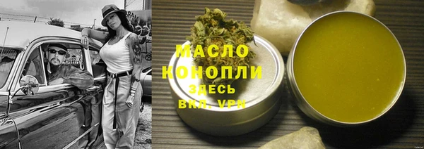 индика Беломорск