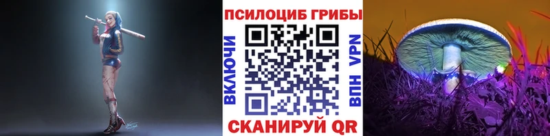 Псилоцибиновые грибы Psilocybine cubensis Чухлома